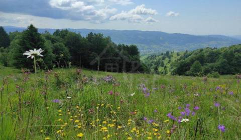 Sale Gardens, Gardens, Detva, Slovakia