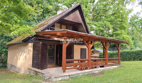 Sale Cottage, Trebišov, Slovakia