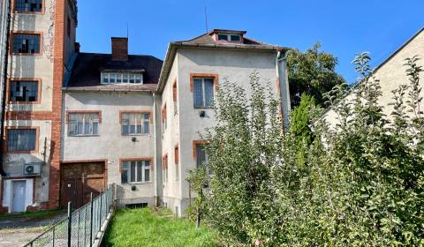 Sale Family house, Family house, Jilemnického, Skalica, Slovakia