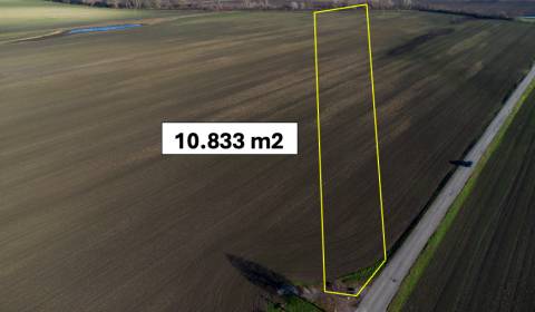 Sale Agrarian and forest land, Agrarian and forest land, Malacky, Slov