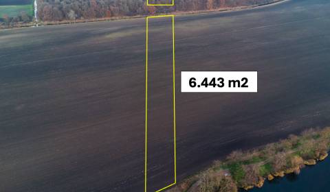 Sale Agrarian and forest land, Agrarian and forest land, Malacky, Slov