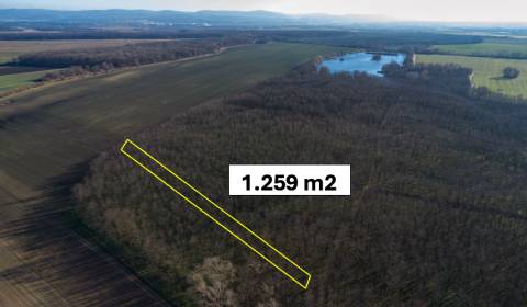 Sale Agrarian and forest land, Agrarian and forest land, Malacky, Slov