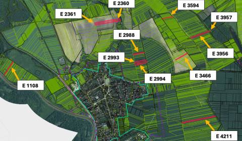 Sale Agrarian and forest land, Agrarian and forest land, Malacky, Slov