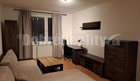 Rent One bedroom apartment, One bedroom apartment, Šafárikova, Šaľa, S