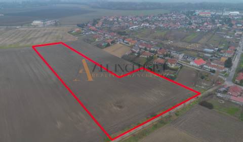 Sale Land – for living, Land – for living, Dunajská Streda, Slovakia