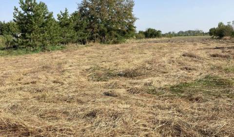 Sale Land – for living, Land – for living, Malá iža, Komárno, Slovakia