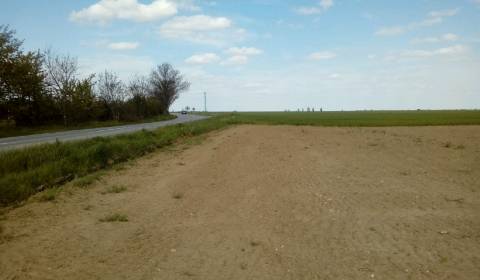 Sale Agrarian and forest land, Agrarian and forest land, Vištuk, Pezin