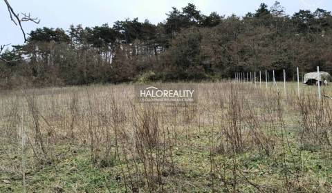 Sale Land – for living, Hlohovec, Slovakia