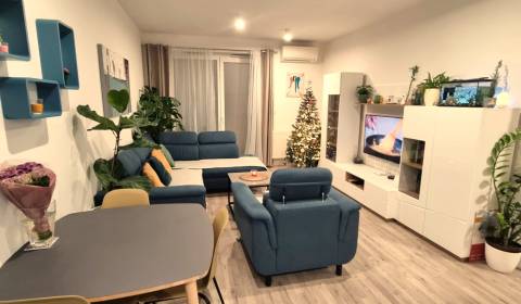 Sale One bedroom apartment, One bedroom apartment, Jilemnického, Malac