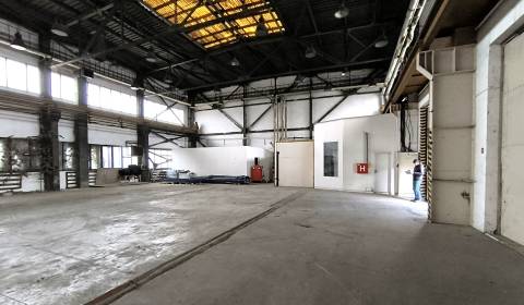 Rent Storehouses and Workshops, Storehouses and Workshops, Zoltána Kod