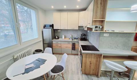 Rent Three bedroom apartment, Three bedroom apartment, A. Hlinku, Pieš