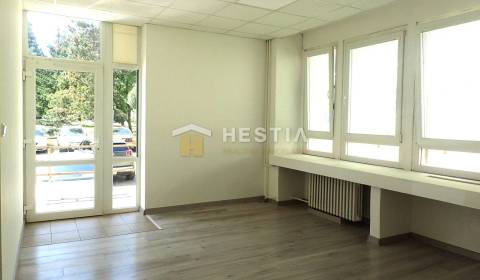 Rent Commercial premises, Commercial premises, Senica, Slovakia