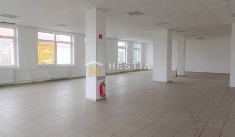 Rent Commercial premises, Commercial premises, Senica, Slovakia