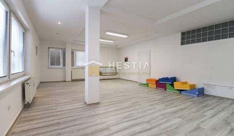 Rent Commercial premises, Commercial premises, Senica, Slovakia