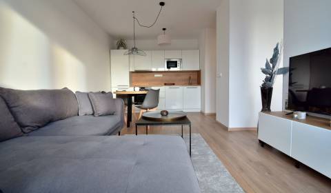 Rent Two bedroom apartment, Two bedroom apartment, Ivanská cesta, Brat