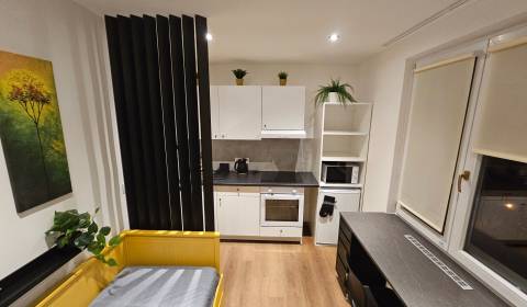 Rent Single studio, Single studio, Československých parašutistov, Brat