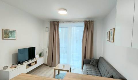 Rent One bedroom apartment, One bedroom apartment, Račianska, Bratisla