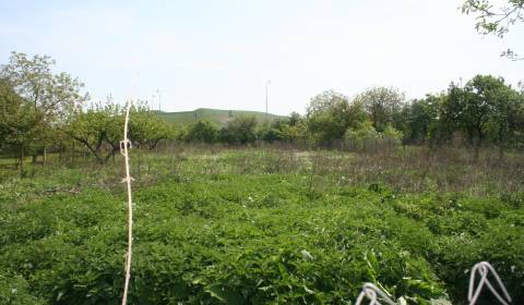 Sale Land – for living, Land – for living, Košice-okolie, Slovakia