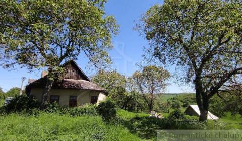 Sale Family house, Family house, Krupina, Slovakia