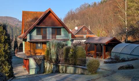 Sale Family house, Family house, Žarnovica, Slovakia