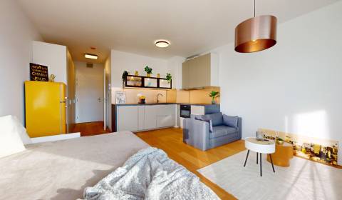 BA IV-Rent a modern furnished 1-room apartment in the new building 