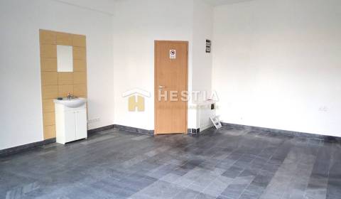 Rent Commercial premises, Commercial premises, Senica, Slovakia