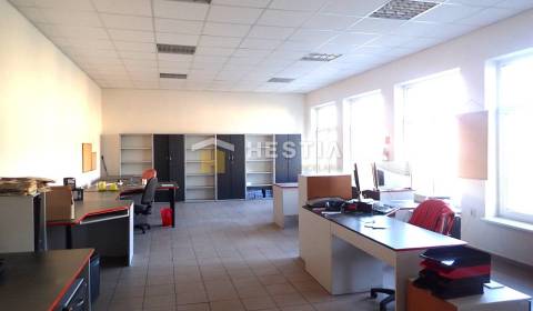 Rent Offices, Offices, Senica, Slovakia