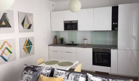 Rent One bedroom apartment, One bedroom apartment, Pivovarská, Nitra, 