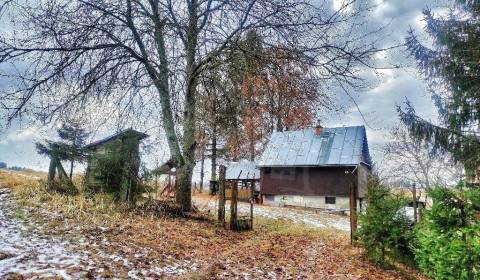 Sale Cottage, Cottage, Detva, Slovakia