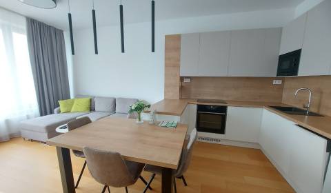 Rent One bedroom apartment, One bedroom apartment, Továrenská, Bratisl