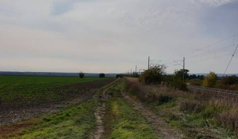 Sale Agrarian and forest land, Agrarian and forest land, Pezinok, Slov