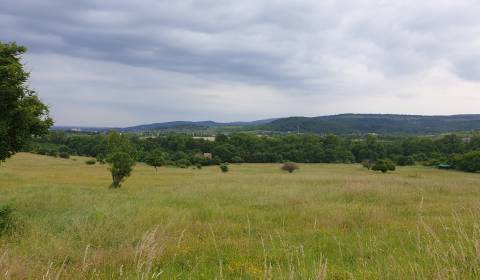 Sale Agrarian and forest land, Agrarian and forest land, Trnava, Slova