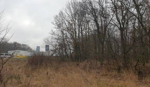 Sale Agrarian and forest land, Agrarian and forest land, Pezinok, Slov