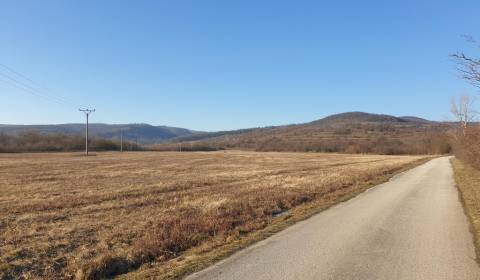 Sale Agrarian and forest land, Agrarian and forest land, Malacká cesta