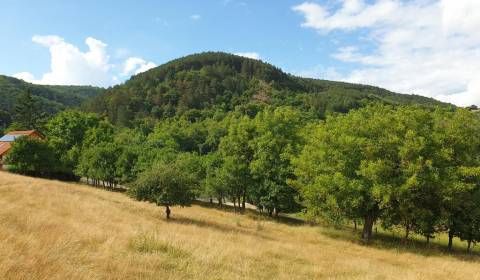 Sale Agrarian and forest land, Agrarian and forest land, Piešťany, Slo