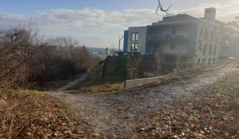 Sale Land – for living, Land – for living, Frankovská, Bratislava - No