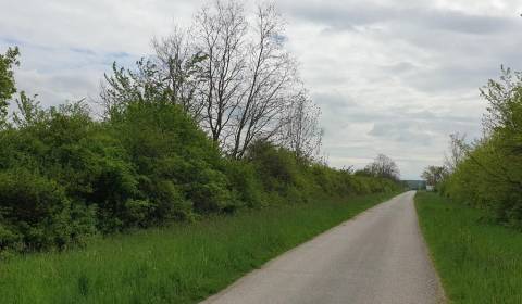 Sale Agrarian and forest land, Agrarian and forest land, Pezinok, Slov