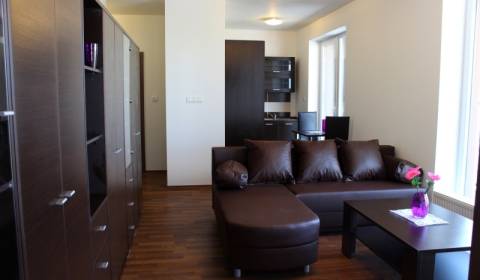 Rent One bedroom apartment, One bedroom apartment, Žltá, Bratislava - 