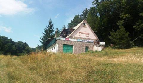 Sale Cottage, Cottage, Nové Mesto nad Váhom, Slovakia