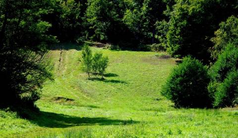 Sale Recreational land, Recreational land, Banská Bystrica, Slovakia