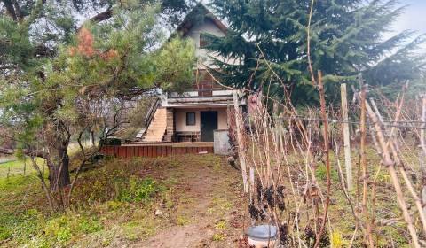 Sale Cottage, Cottage, Michalovce, Slovakia