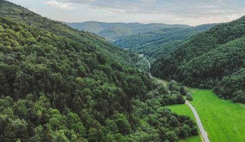 Sale Agrarian and forest land, Agrarian and forest land, Svidník, Slov