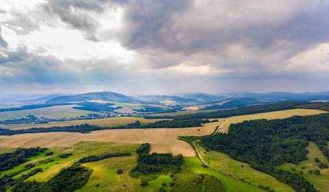 Sale Agrarian and forest land, Agrarian and forest land, Svidník, Slov