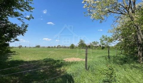 Sale Land – for living, Land – for living, Dunajská Streda, Slovakia