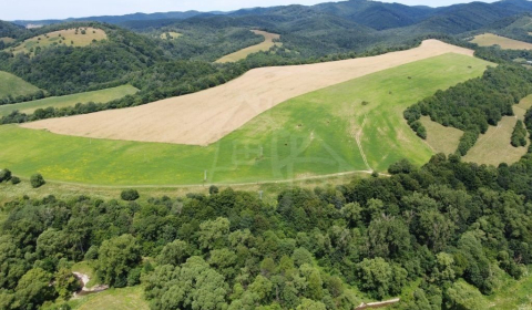 Sale Agrarian and forest land, Agrarian and forest land, Snina, Slovak