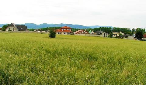 Sale Land – for living, Land – for living, Centrum, Trnava, Slovakia