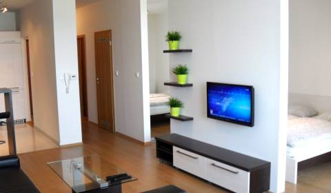 Rent One bedroom apartment, One bedroom apartment, Kaštielska, Bratisl