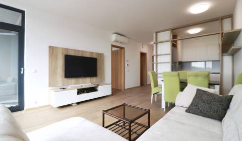 Rent Three bedroom apartment, Three bedroom apartment, Žižkova, Bratis