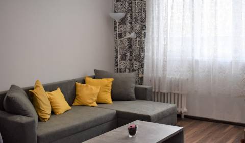 Rent One bedroom apartment, One bedroom apartment, Štúrova, Nitra, Slo