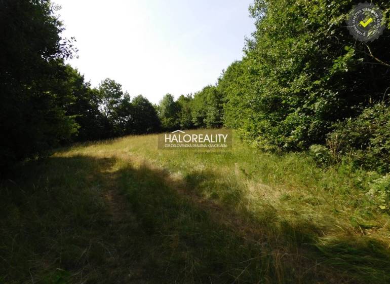 Banská Štiavnica Land – for living Sale reality Banská Štiavnica